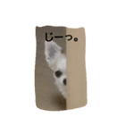 トルティーヤほっぺちゃん（個別スタンプ：4）