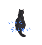 ねこ、といちと言います。（個別スタンプ：6）