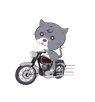 Kitty Tommy（個別スタンプ：25）