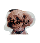Alright（個別スタンプ：6）