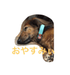 ラッキー daisuki（個別スタンプ：4）