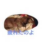 ラッキー daisuki（個別スタンプ：6）