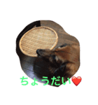 ラッキー daisuki（個別スタンプ：9）