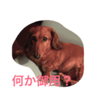 ラッキー daisuki（個別スタンプ：10）