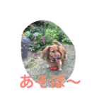 ラッキー daisuki（個別スタンプ：14）