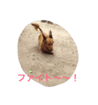 ラッキー daisuki（個別スタンプ：16）
