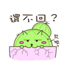 Cattus family（個別スタンプ：17）