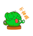 Cattus family（個別スタンプ：30）