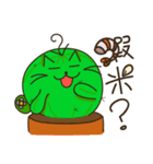 Cattus family（個別スタンプ：34）