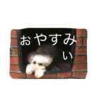 ぶさぷー（個別スタンプ：2）