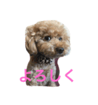 トイくん（個別スタンプ：3）