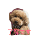 トイくん（個別スタンプ：4）