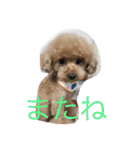 トイくん（個別スタンプ：6）