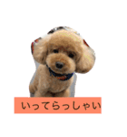 トイくん（個別スタンプ：7）