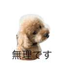 トイくん（個別スタンプ：8）