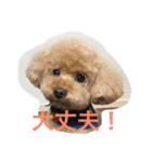 トイくん（個別スタンプ：11）
