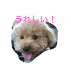 トイくん（個別スタンプ：12）