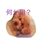 トイくん（個別スタンプ：14）