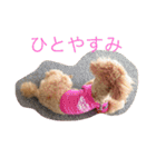 トイくん（個別スタンプ：15）