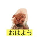 トイくん（個別スタンプ：21）
