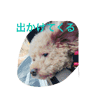 トイくん（個別スタンプ：23）