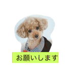 トイくん（個別スタンプ：26）
