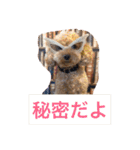 ミスター トイくんパート2（個別スタンプ：7）