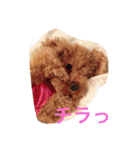ミスター トイくんパート2（個別スタンプ：11）