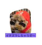 ミスター トイくんパート2（個別スタンプ：17）