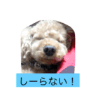 ミスター トイくんパート2（個別スタンプ：19）