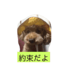 ミスター トイくんパート2（個別スタンプ：28）