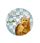 老若にゃんこ（個別スタンプ：5）