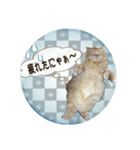 老若にゃんこ（個別スタンプ：10）