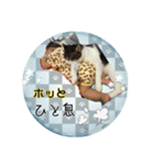 老若にゃんこ（個別スタンプ：16）