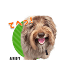 おしゃべり茶ムク犬ANDY（個別スタンプ：2）