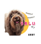 おしゃべり茶ムク犬ANDY（個別スタンプ：3）