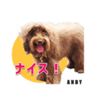 おしゃべり茶ムク犬ANDY（個別スタンプ：5）