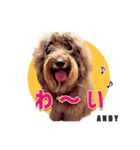 おしゃべり茶ムク犬ANDY（個別スタンプ：7）