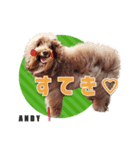 おしゃべり茶ムク犬ANDY（個別スタンプ：8）