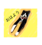 どうも、ちゃぷです。（個別スタンプ：2）