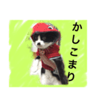 どうも、ちゃぷです。（個別スタンプ：3）