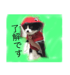 どうも、ちゃぷです。（個別スタンプ：4）