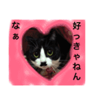 どうも、ちゃぷです。（個別スタンプ：5）
