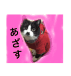 どうも、ちゃぷです。（個別スタンプ：15）