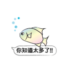 Must buy happy fish（個別スタンプ：9）