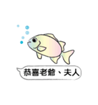 Must buy happy fish（個別スタンプ：17）