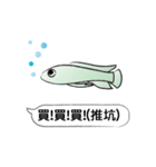 Must buy happy fish（個別スタンプ：21）