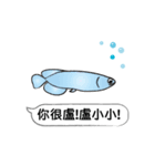 Must buy happy fish（個別スタンプ：22）