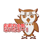 熱血ゆるふわフクロウちゃんクッキー（個別スタンプ：1）