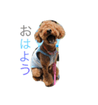 心・NO1（個別スタンプ：1）
